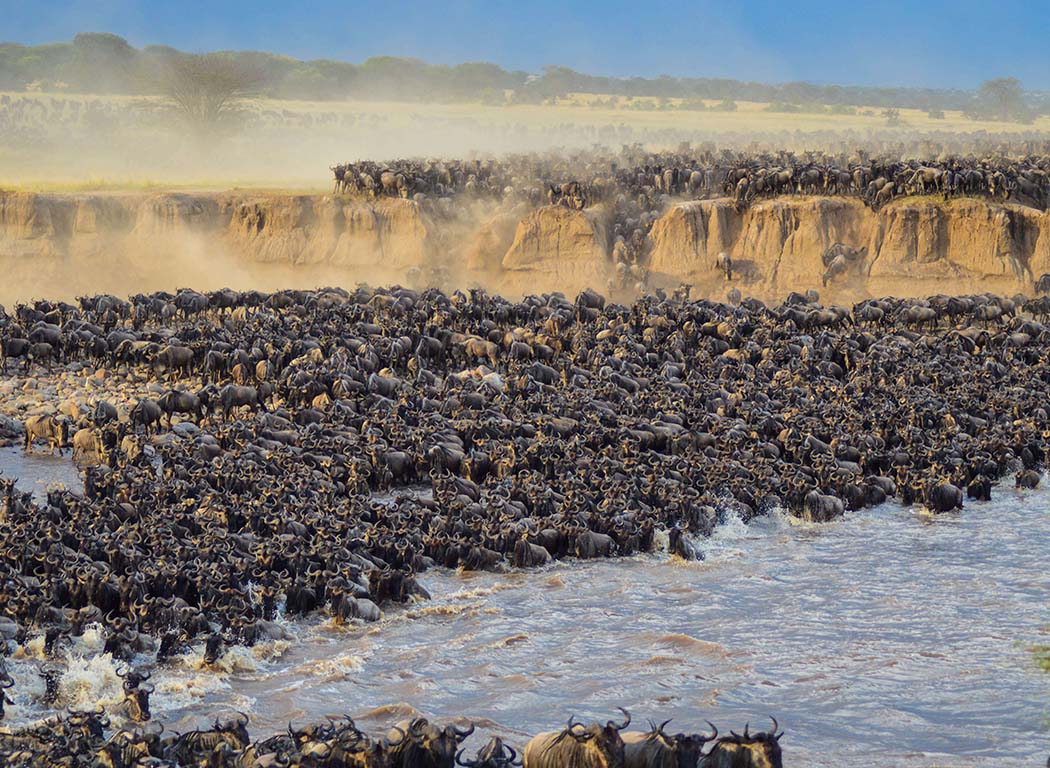 mara river crossing